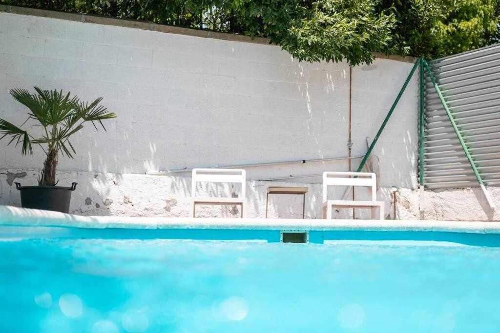 Newly Renovated W Pool & Bikeparking Gasthuis